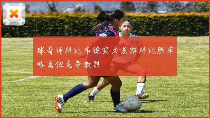 球哥评科比韦德实力差距科比胜率略高但竞争激烈